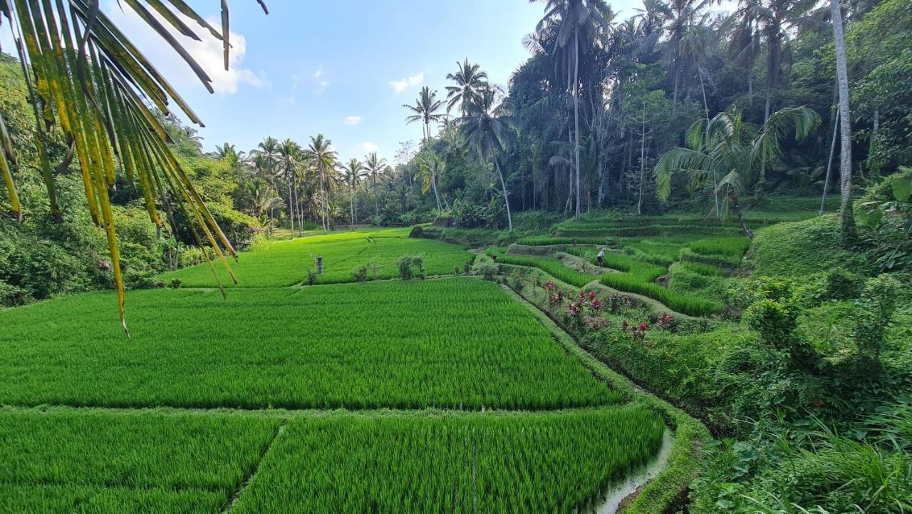 Tirta Sari Villa Tampaksiring Eksteriør bilde