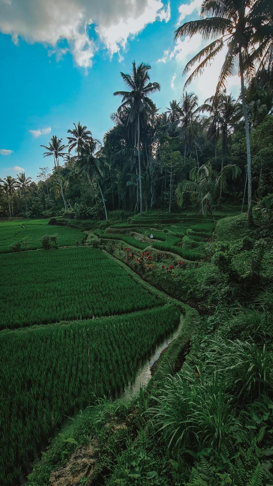 Tirta Sari Villa Tampaksiring Eksteriør bilde